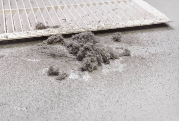 Best HVAC Duct Inspection Services  in Bonnie Brae, IL