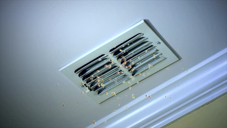 Best Affordable Air Duct Cleaning  in Bonnie Brae, IL