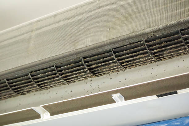 Best Local Air Duct Cleaning Services  in Bonnie Brae, IL